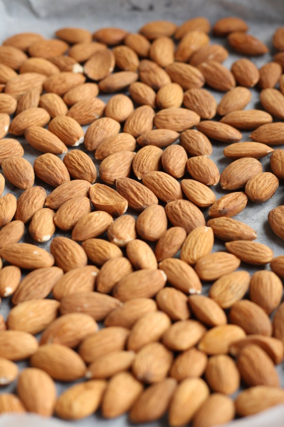 Honey Spiced Almonds 2