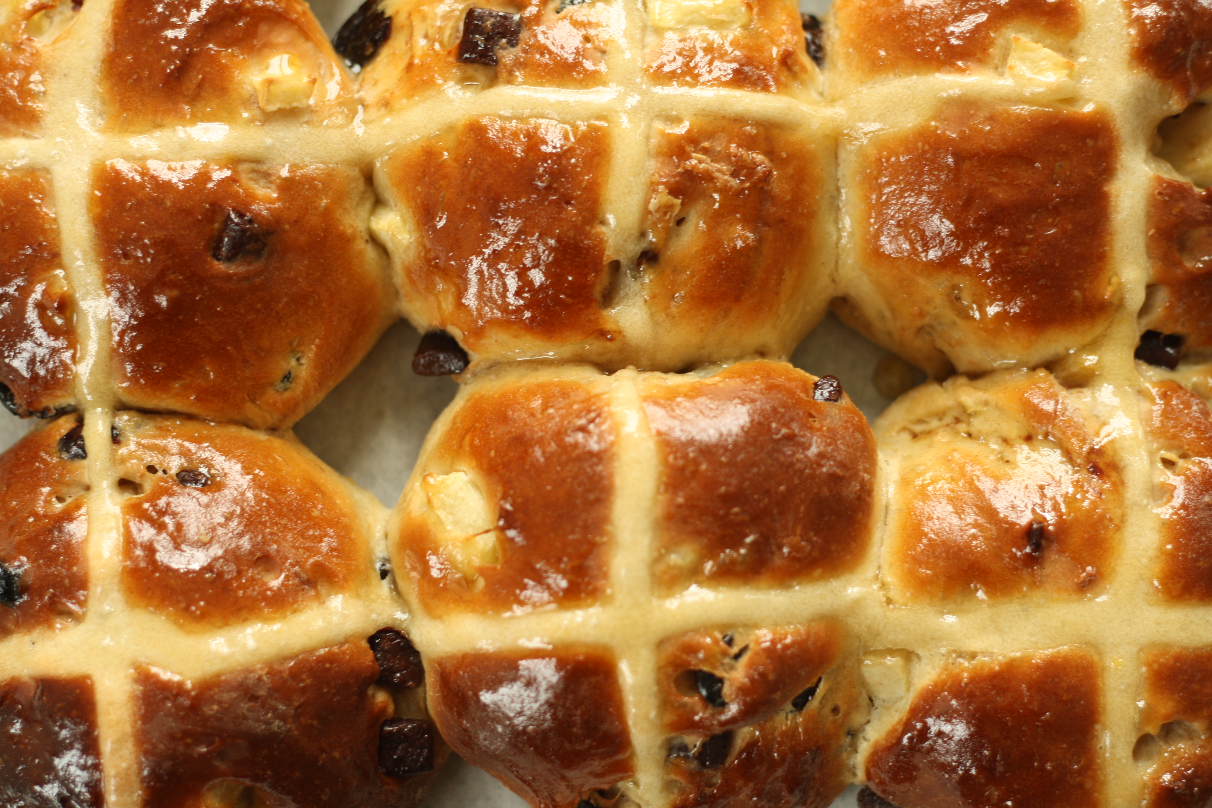 Cherry and Dark Chocolate Hot Cross Buns – Scaredy-Cat Kitchen