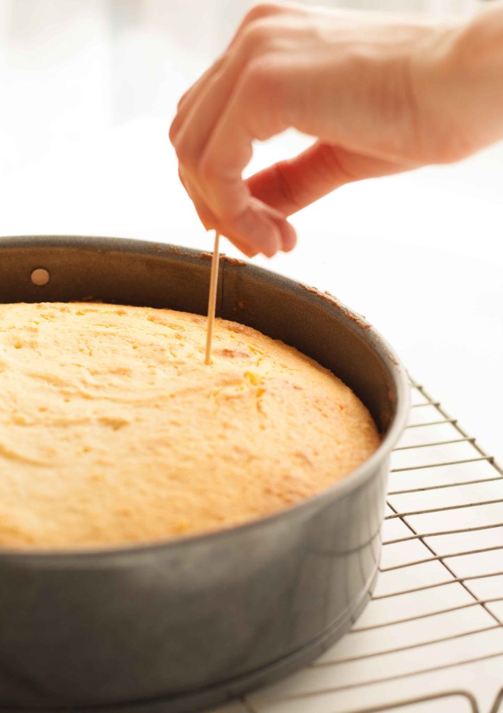 Blood Orange & Campari Cake 2